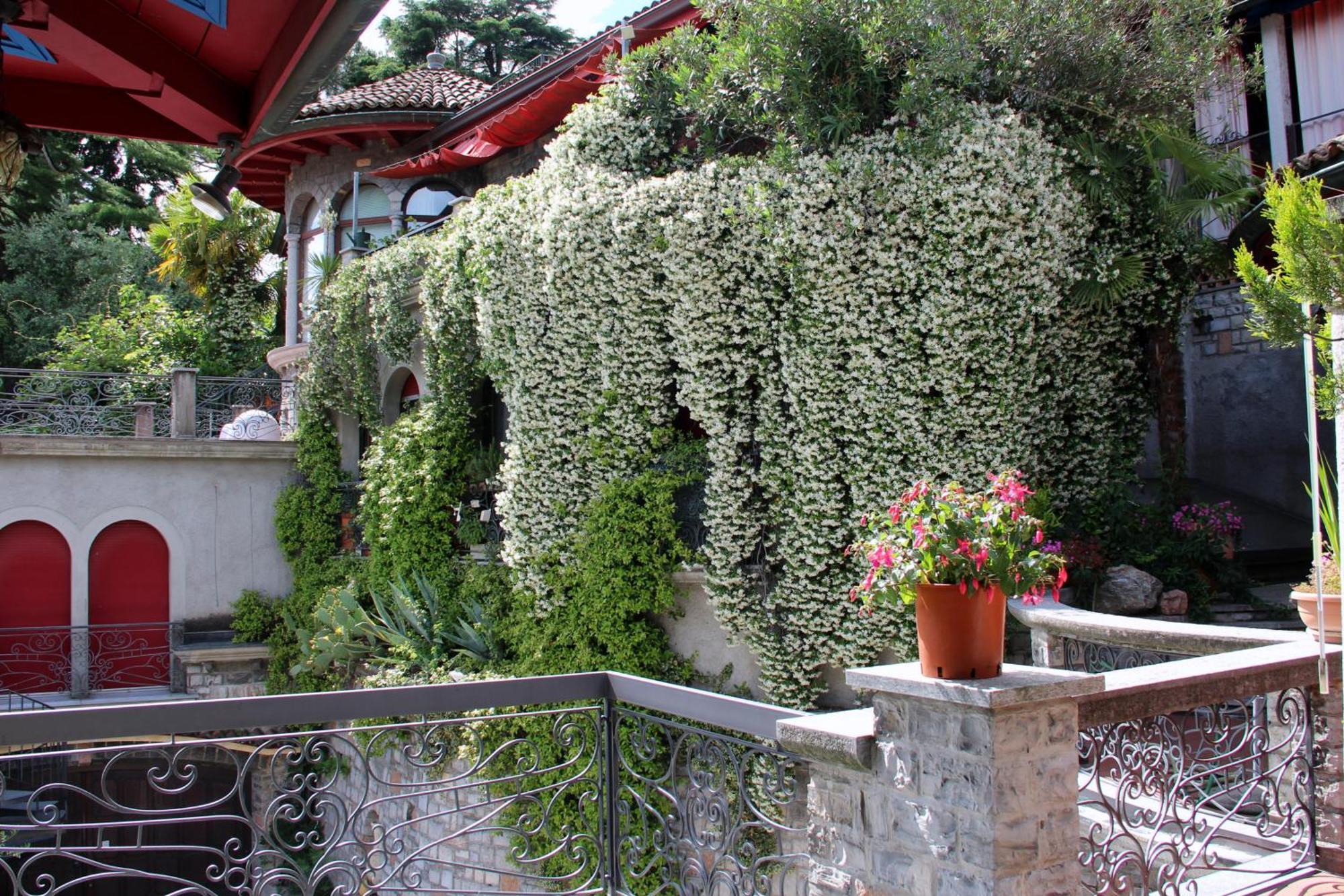 Barony Le Pergole Holiday Apartments لوغانو المظهر الخارجي الصورة