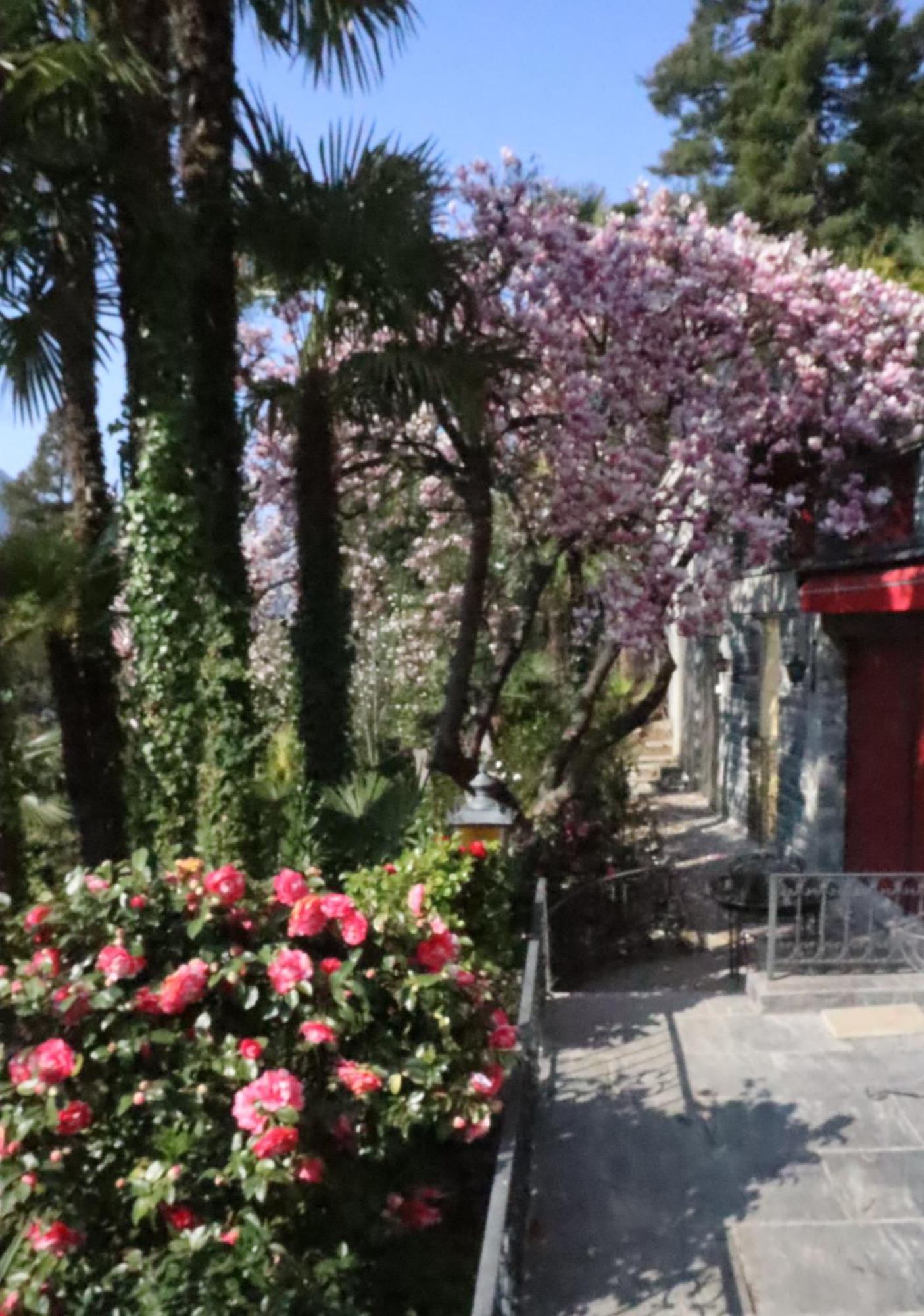 Barony Le Pergole Holiday Apartments لوغانو المظهر الخارجي الصورة
